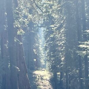 Meet your Posher, Pm